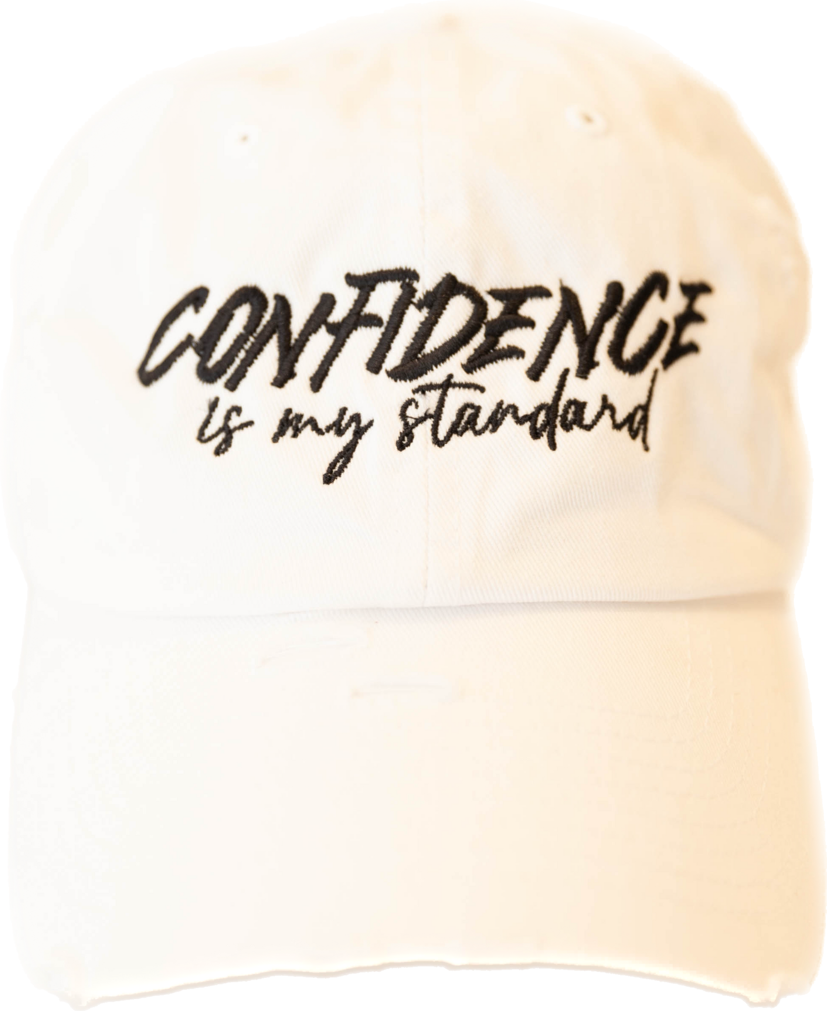 “Confidence Is My Standard” Vintage Dad Hat
